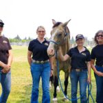 Mounted Patrol volunteers